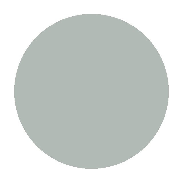 Silver Circle
